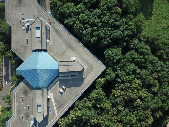 Institut Bois Robert : un internat pour apprendre différemment