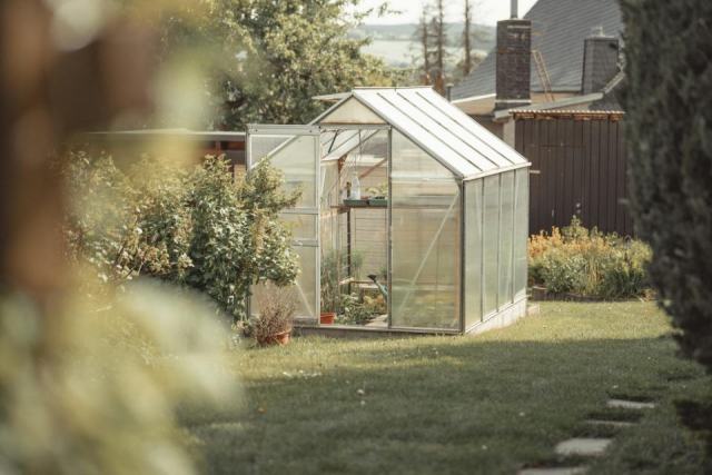 Mini serre Botanic et jardinière en bois exotique : laquelle choisir pour votre jardin